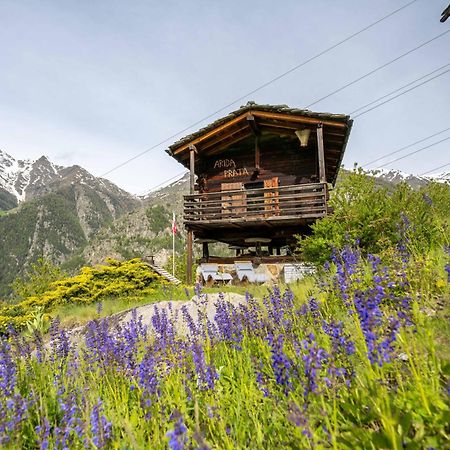 Korn-Stadel Arida Prata "Natur Pur" Grächen Exteriér fotografie
