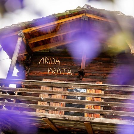 Korn-Stadel Arida Prata "Natur Pur" Grächen Exteriér fotografie