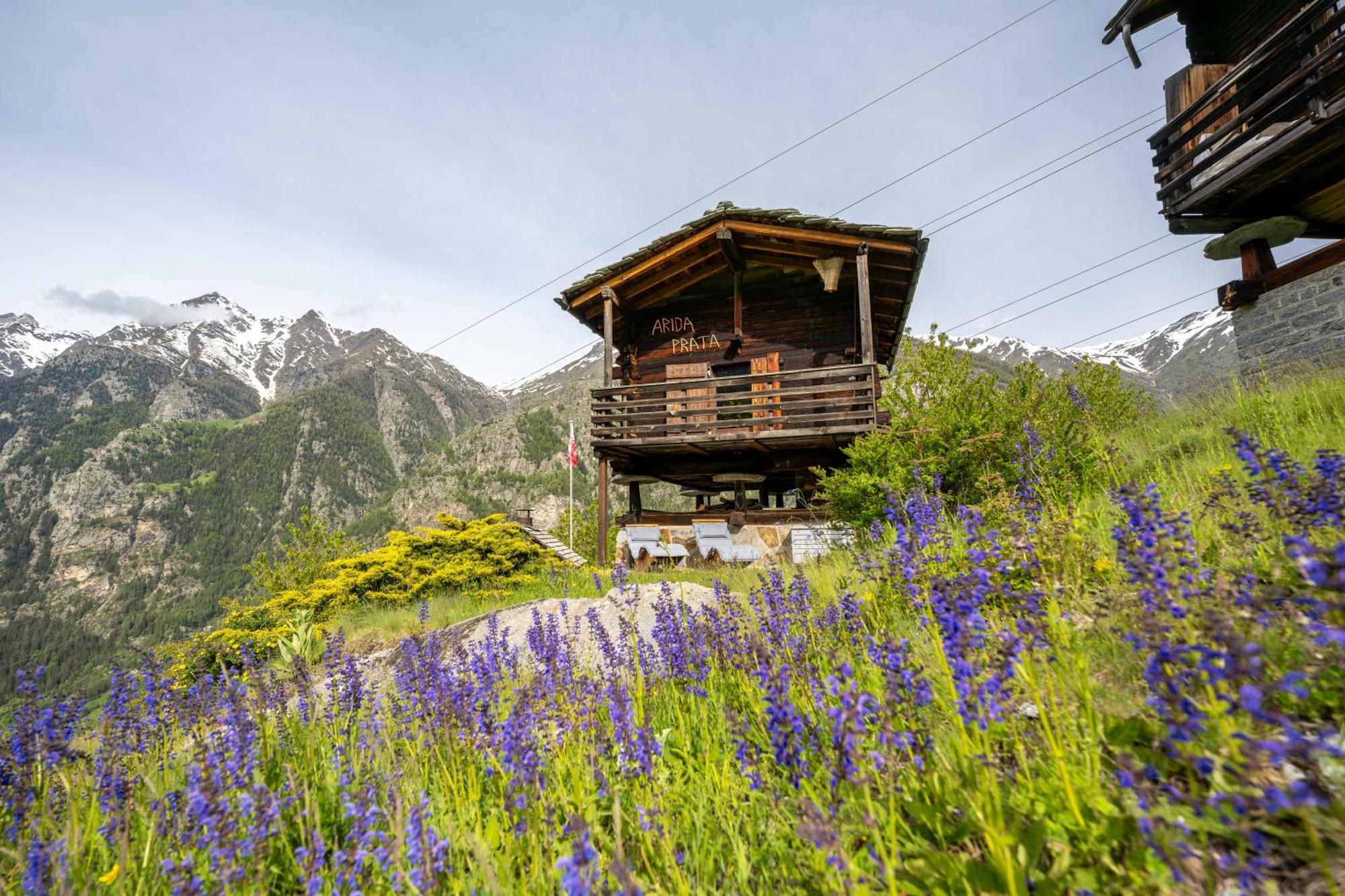 Korn-Stadel Arida Prata "Natur Pur" Grächen Exteriér fotografie