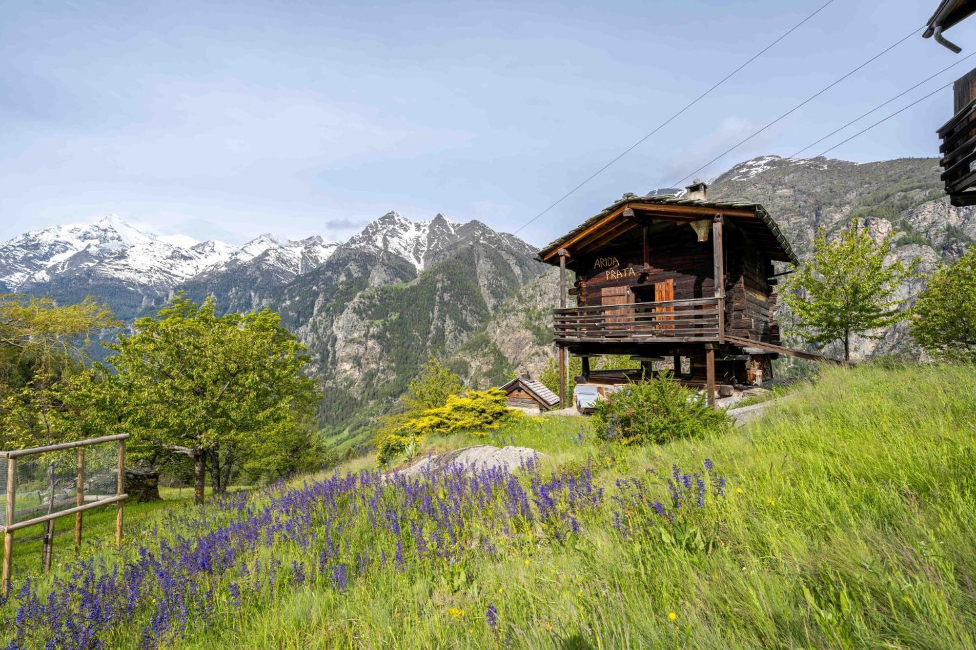 Korn-Stadel Arida Prata "Natur Pur" Grächen Exteriér fotografie