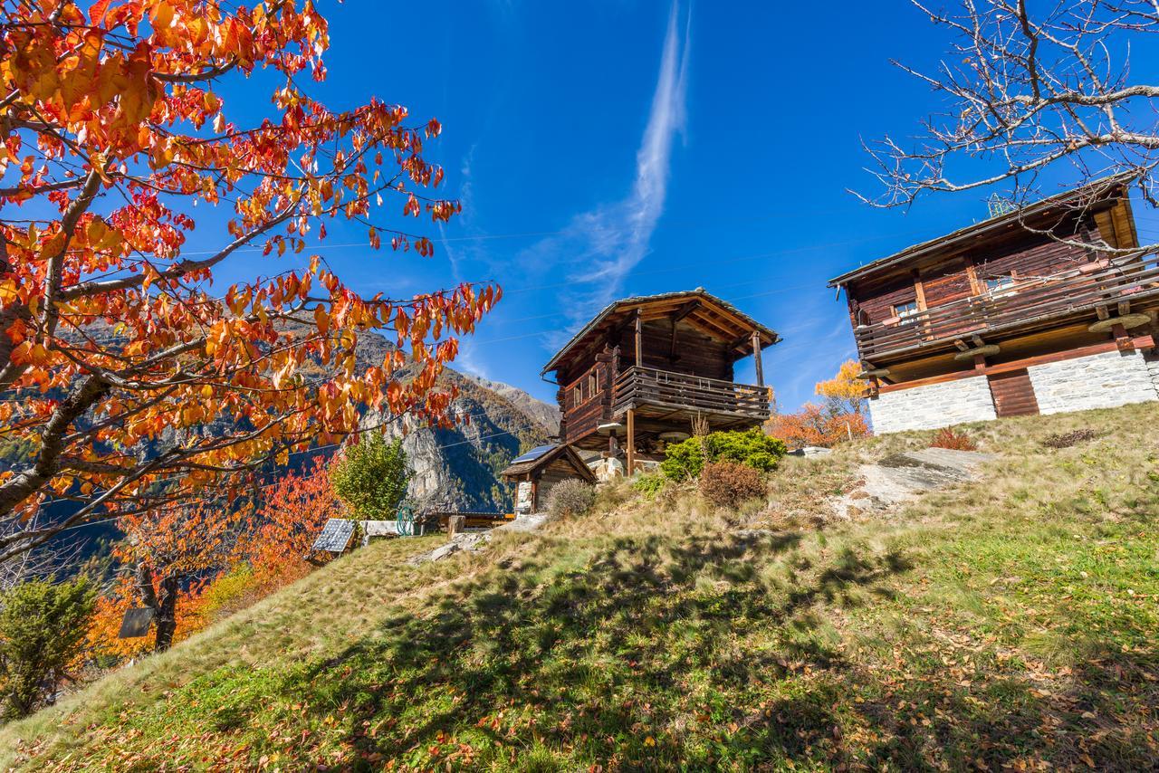 Korn-Stadel Arida Prata "Natur Pur" Grächen Exteriér fotografie