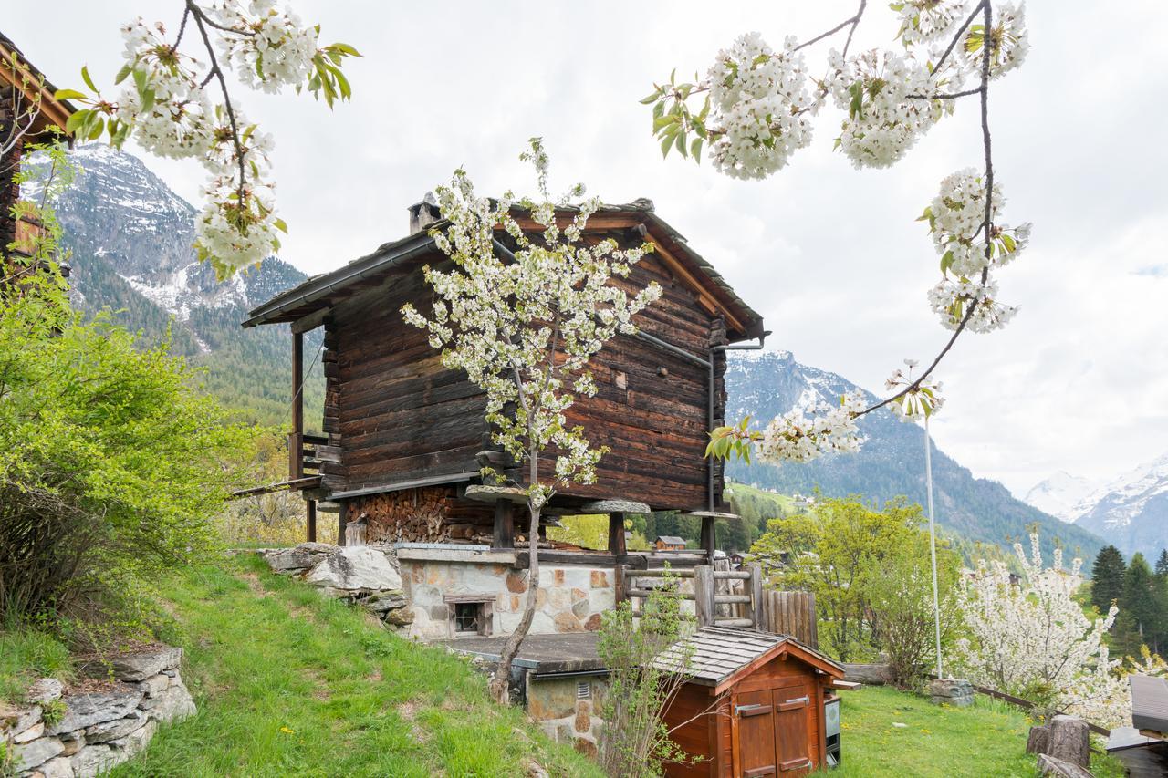 Korn-Stadel Arida Prata "Natur Pur" Grächen Exteriér fotografie